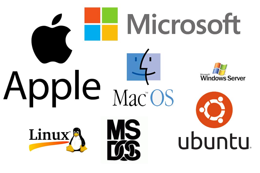 THE OPERATING SYSTEM